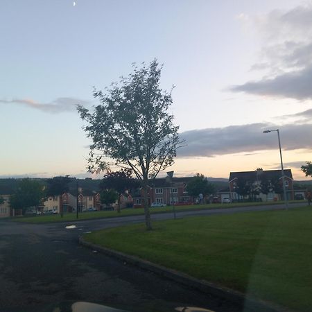 Sycamore Place Carrick-on-Suir Extérieur photo